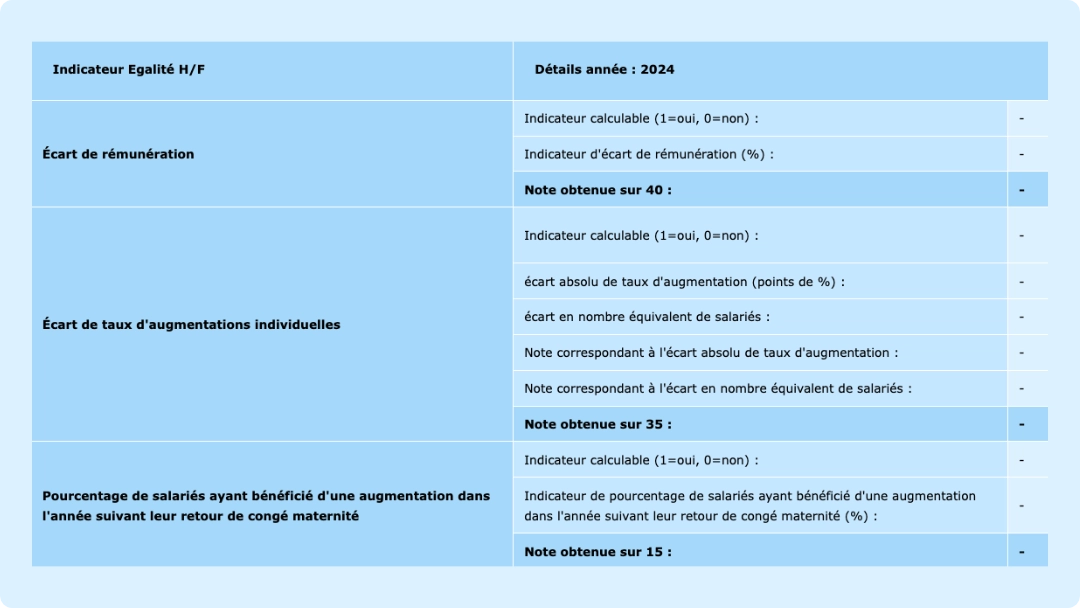Logiciel BDESE : Module index égalité Femme Homme